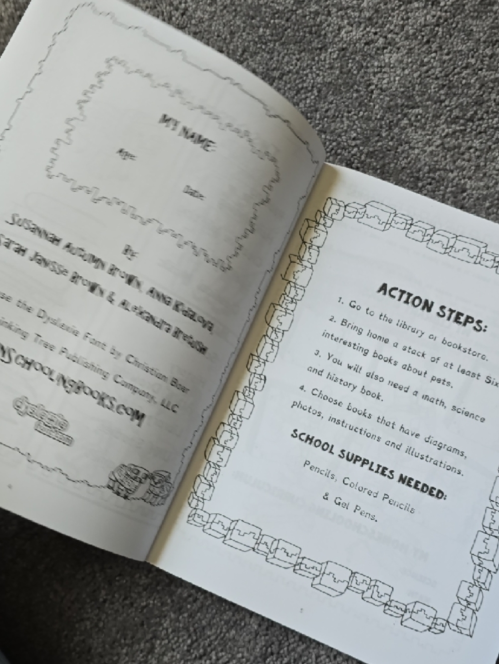 Minecraft 'All About Pets' Fun Schooling Journal - Orange & Gray - Picture 5 of 16
